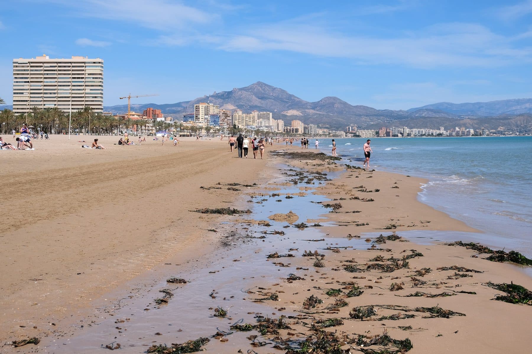 Playa de la Costa Blanca con el perfil de Benidorm al fondo