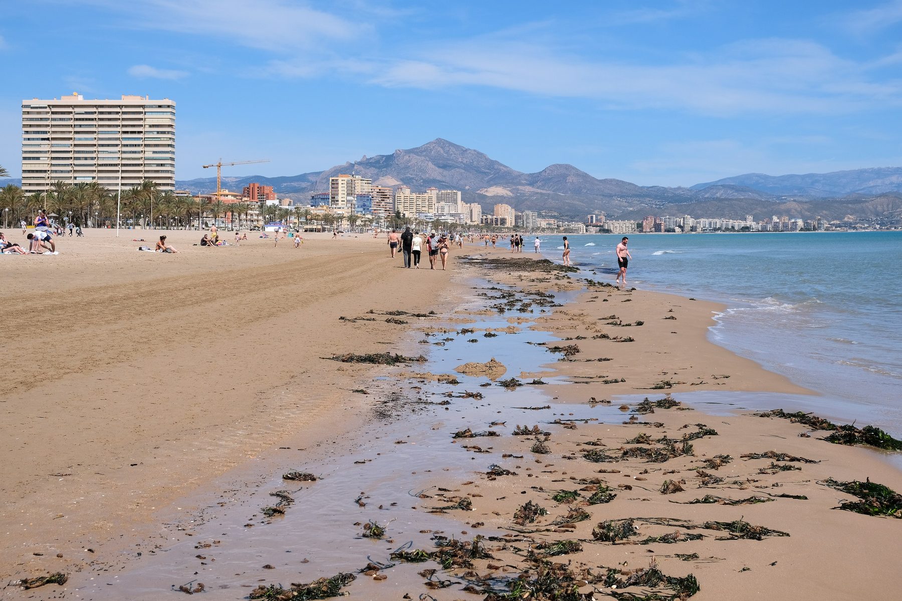 Playa de la Costa Blanca con el perfil de Benidorm al fondo
