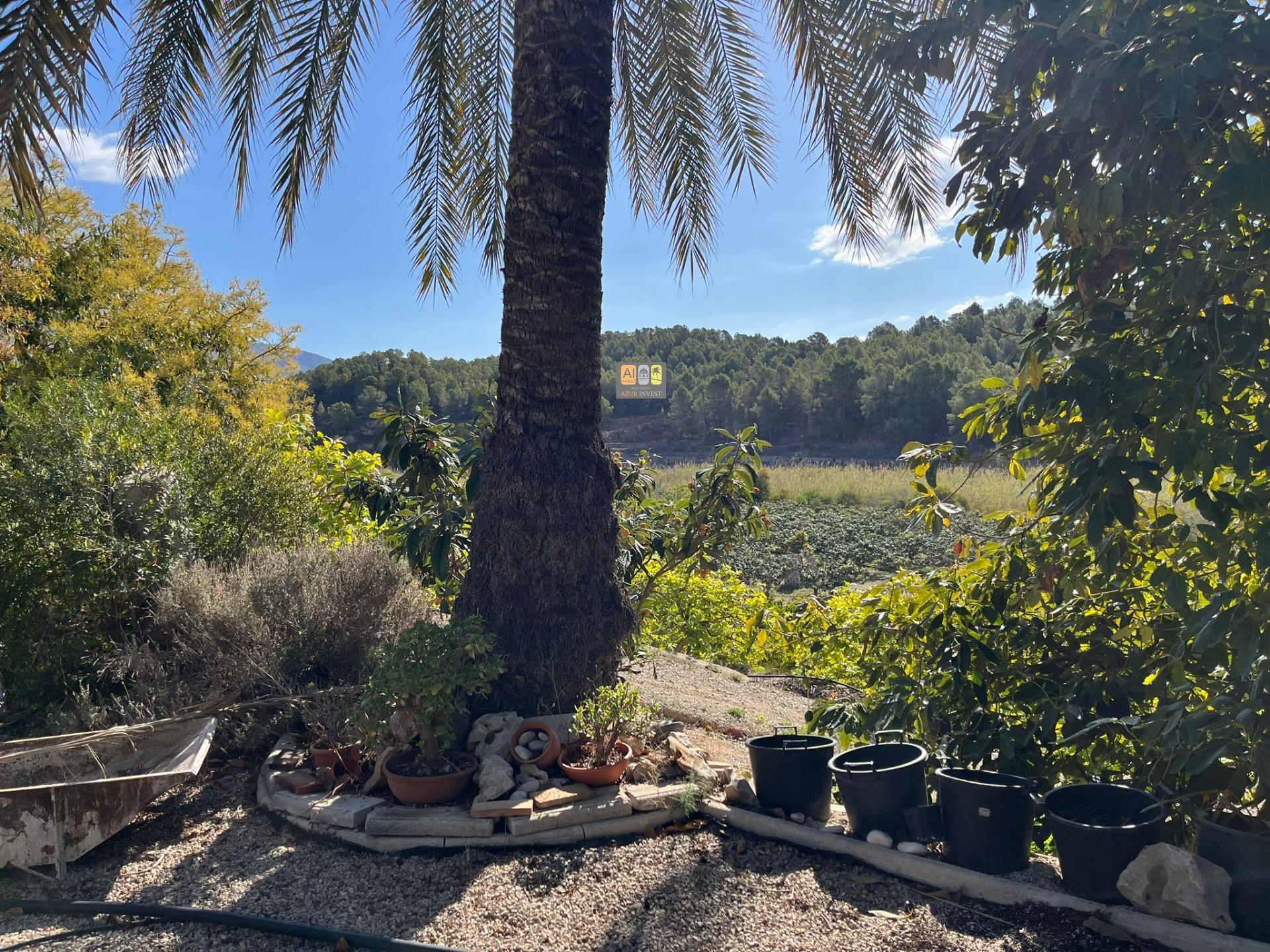 Casa con terreno en Callosa