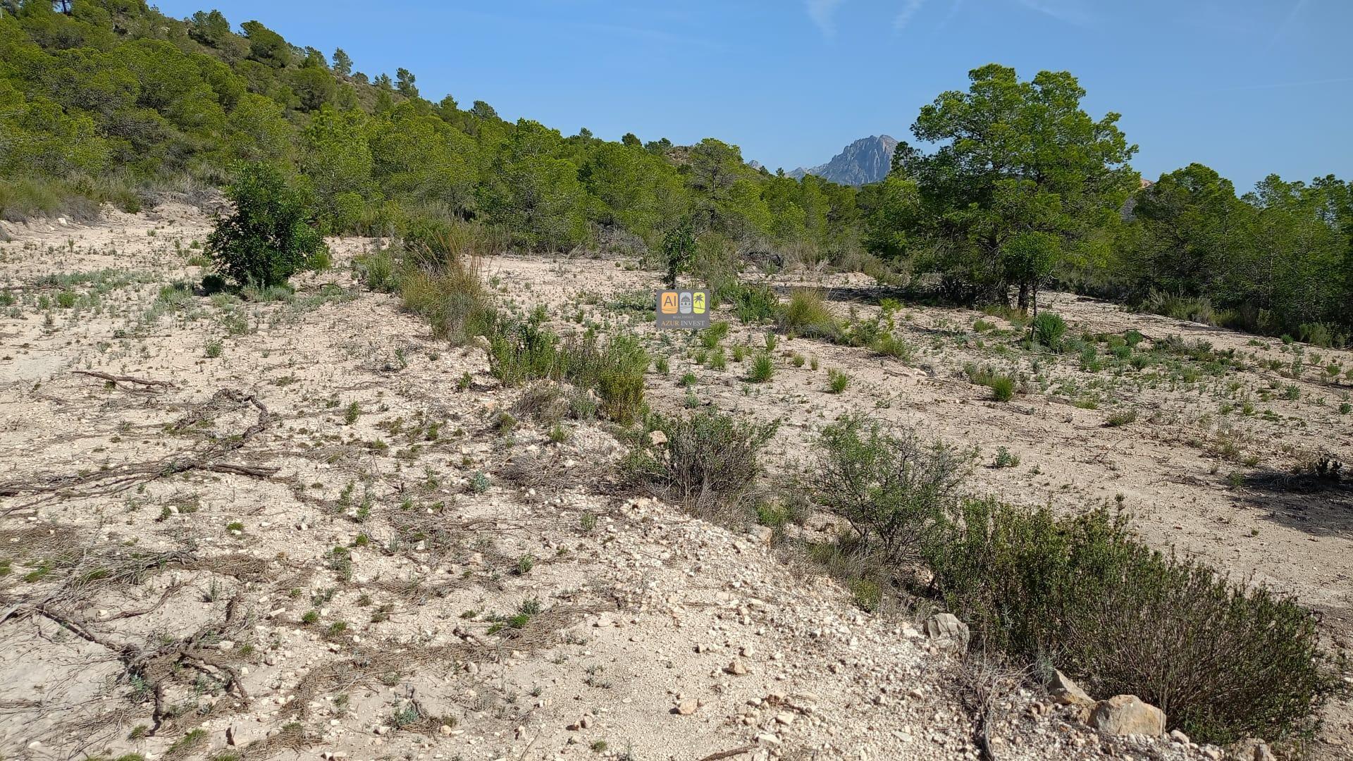 Terreno rural en Relleu