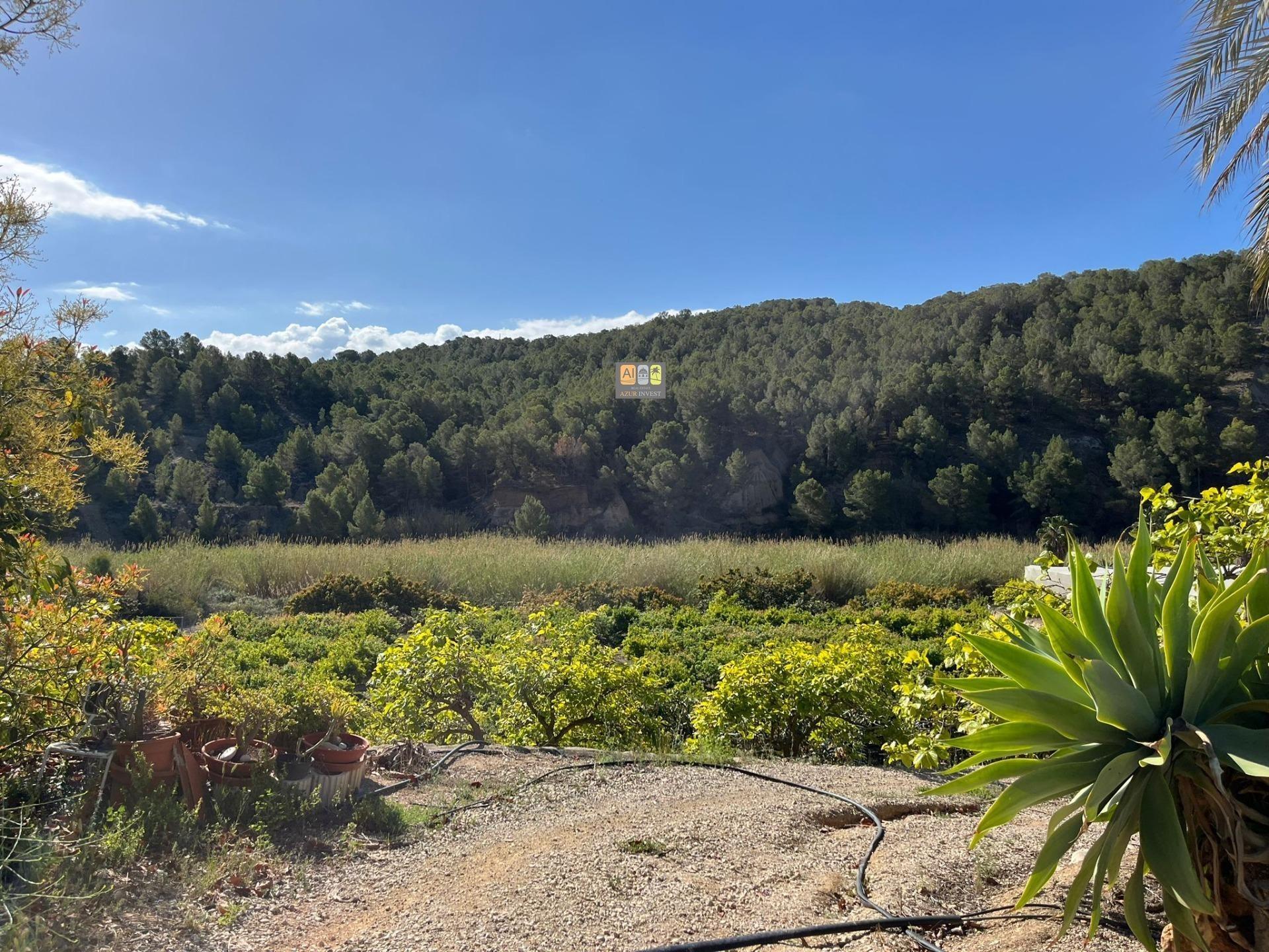 Terreno rural en Comunidad valenciana