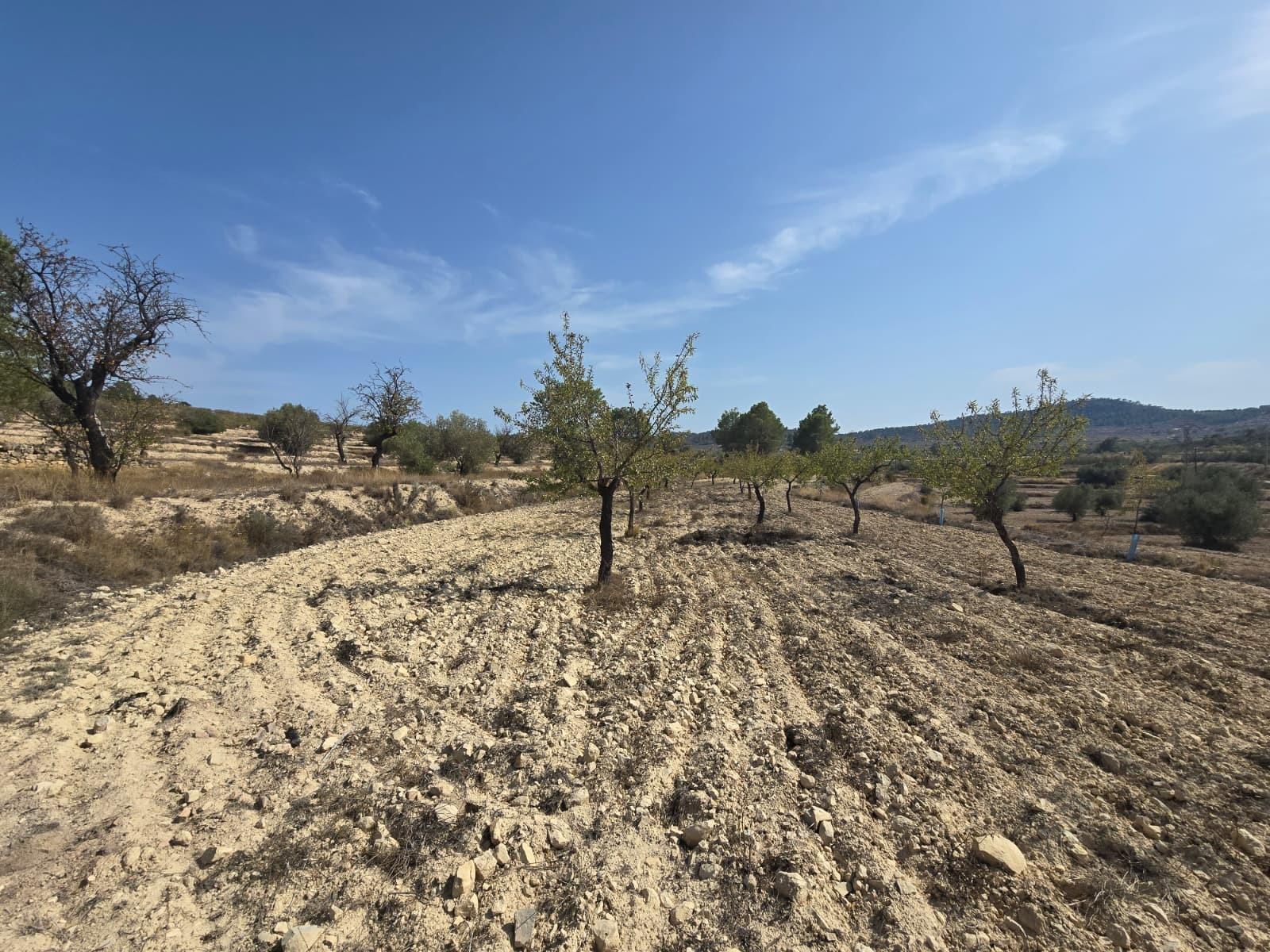 Terreno rural en Comunidad valenciana